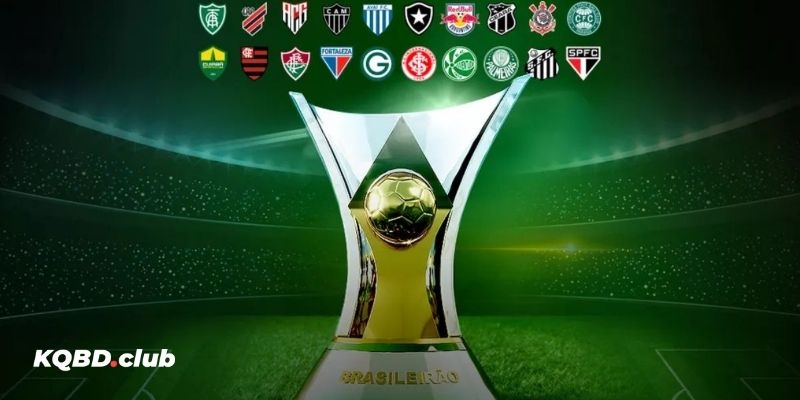 Tìm hiểu giải VĐQG Brazil