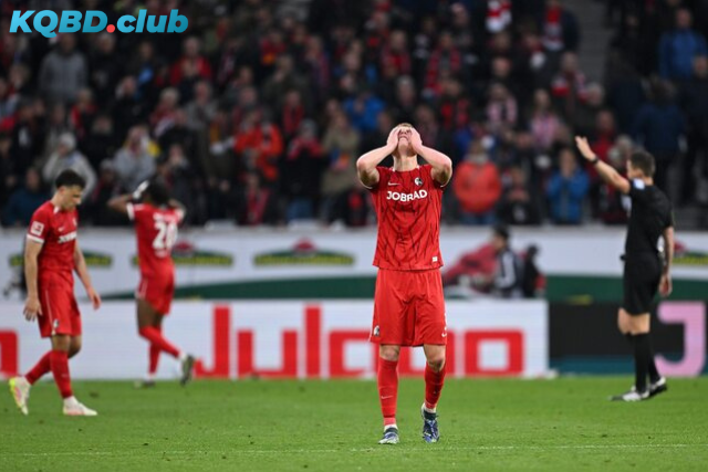 Đội hình dự kiến trước trận Bayer Leverkusen vs Freiburg Đội hình dự kiến trước trận Bayer Leverkusen vs Freiburg