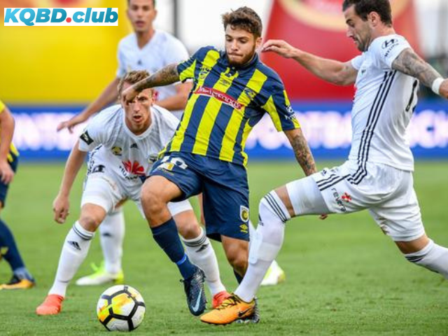 Đội hình dự kiến trước trận Central Coast Mariners vs Wellington Phoenix Đội hình dự kiến trước trận Central Coast Mariners vs Wellington Phoenix