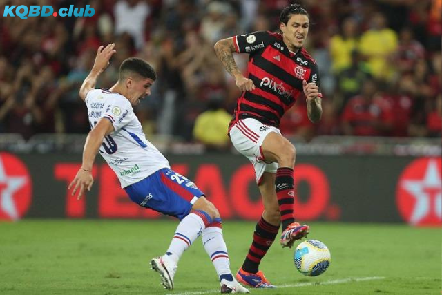 Đội hình dự kiến trước trận Fortaleza vs Flamengo RJ