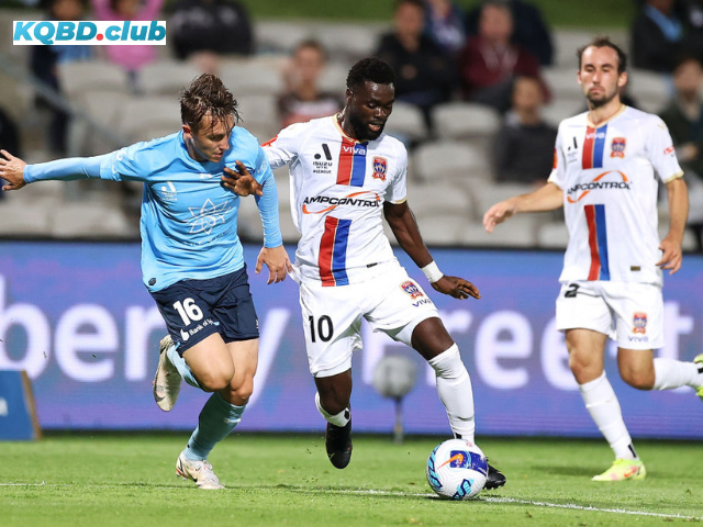 Đội hình dự kiến trước trận Newcastle Jets vs Sydney FC Đội hình dự kiến trước trận Newcastle Jets vs Sydney FC