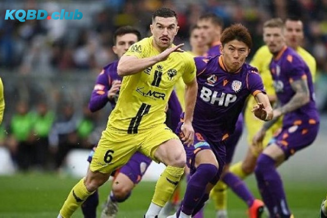 Đội hình dự kiến trước trận Perth Glory vs Wellington Phoenix Đội hình dự kiến trước trận Perth Glory vs Wellington Phoenix