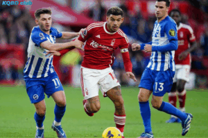Đội hình dự kiến trước trận Nottingham vs Brighton